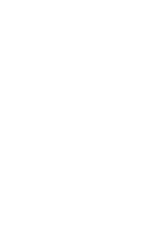 無理を通して道理を吹っ飛ばせ！！