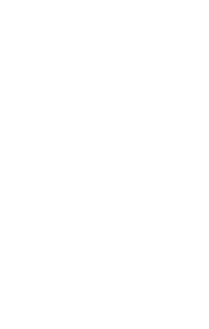 無理を通して道理を吹っ飛ばせ！！