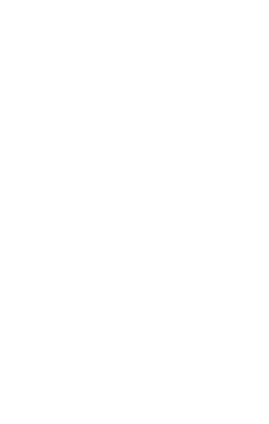 無理を通して道理を吹っ飛ばせ！！